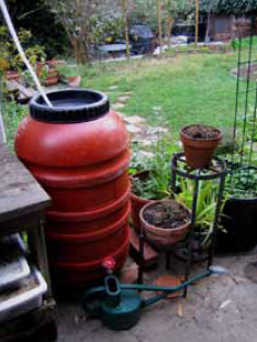 baril de recuperation eau pluie