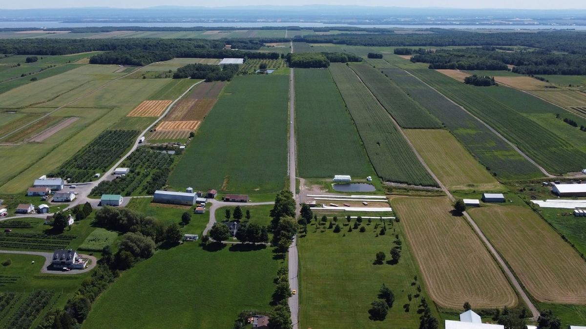 Zones à Risque - Carte Radon Mont St-Hilaire Québec