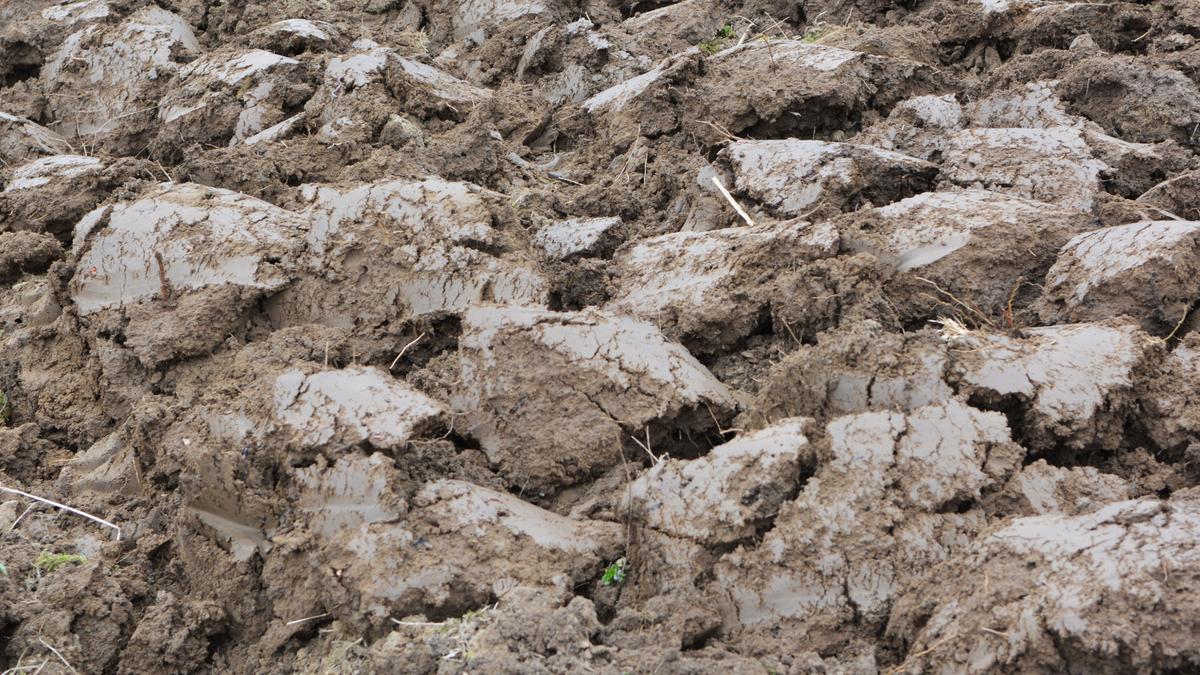 La présence de sol argileux doit être prise en considération en construction