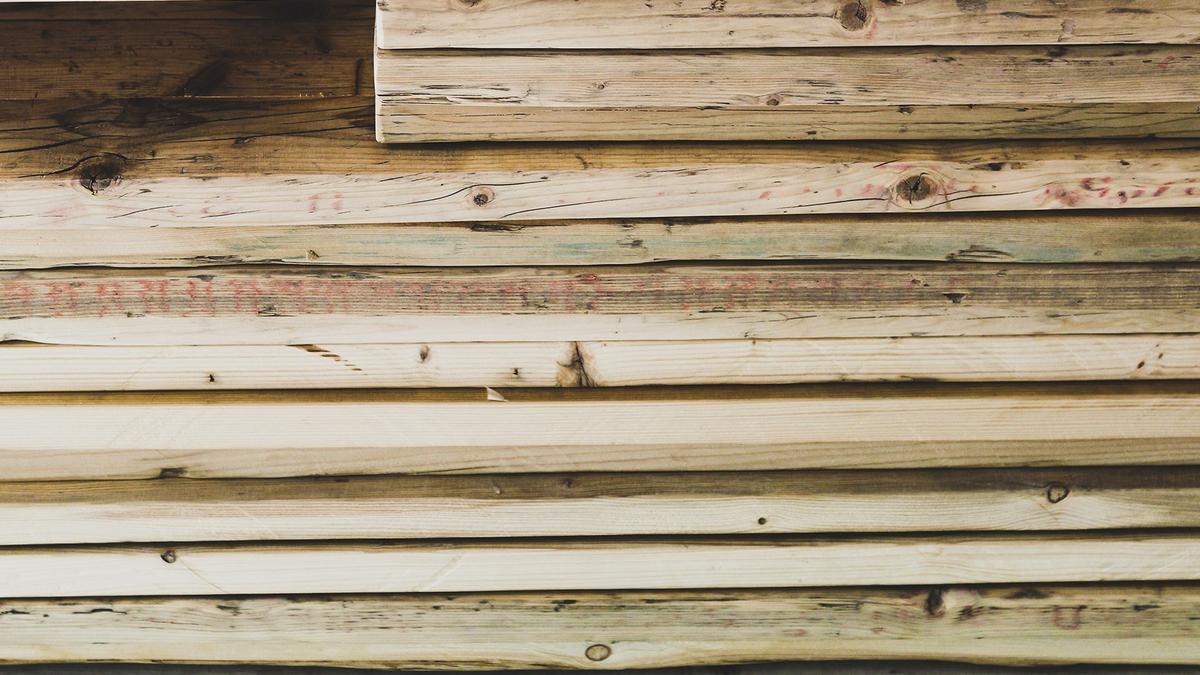 La certification de bois FSC pour des forêts bien gérées