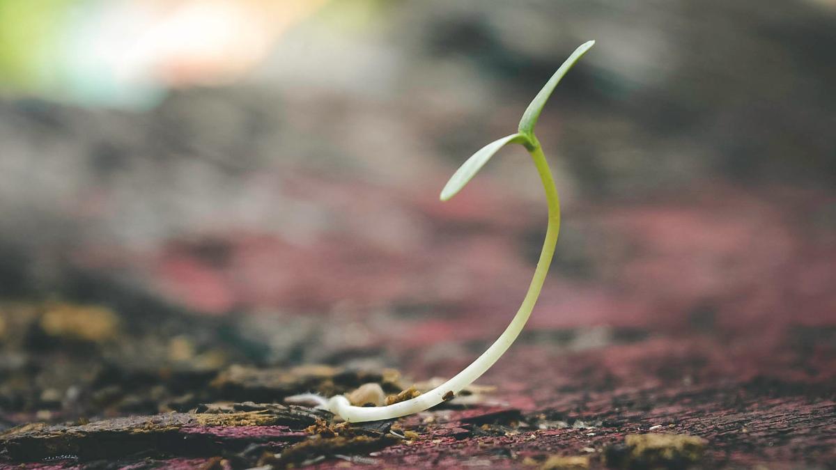 ClimatSol sols contaminés terre terrain décontamination programme subv