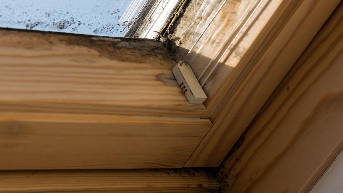 Moisissures sur le rebord d'une fenêtre