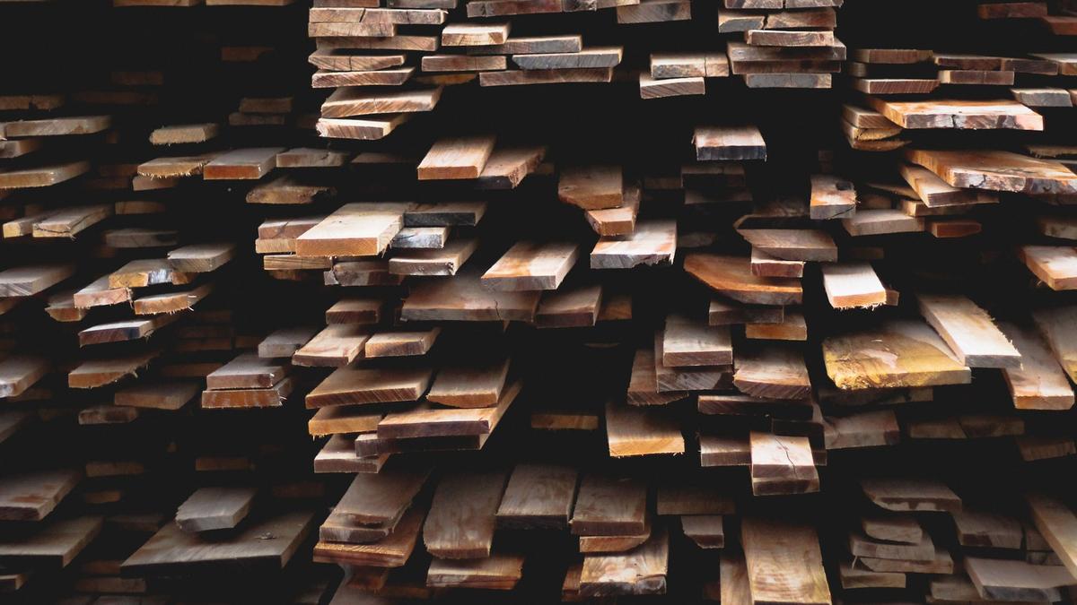 Bien choisir le bois pour les projets de construction