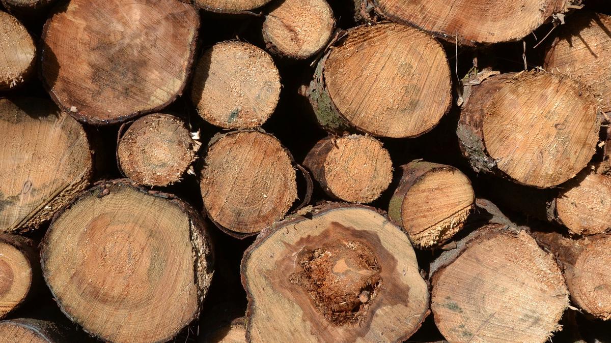De nouveaux matériaux certifiés FSC disponibles au Québec