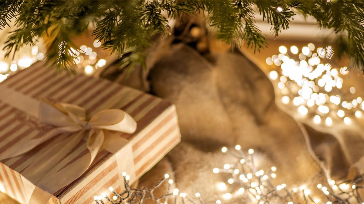 Offres spéciales de Noël Cadeaux Écohabitation