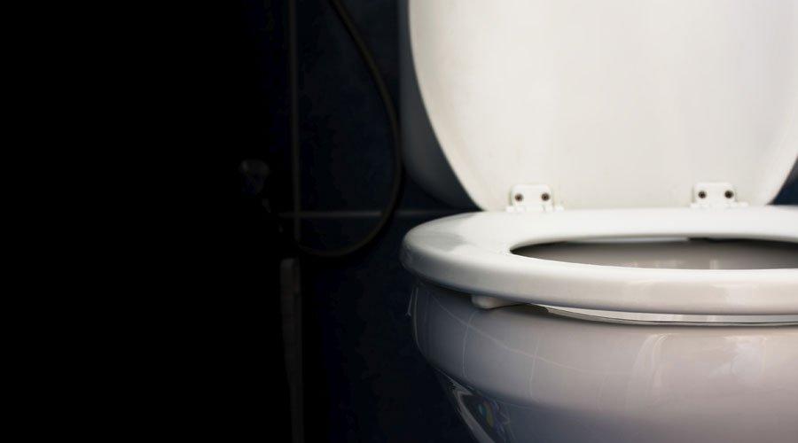 Une toilette écologique