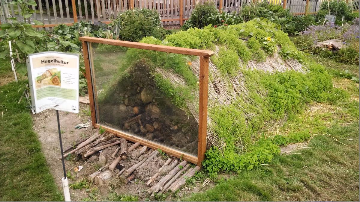 hugelkultur, permaculture, culture biologique, butte autofertile