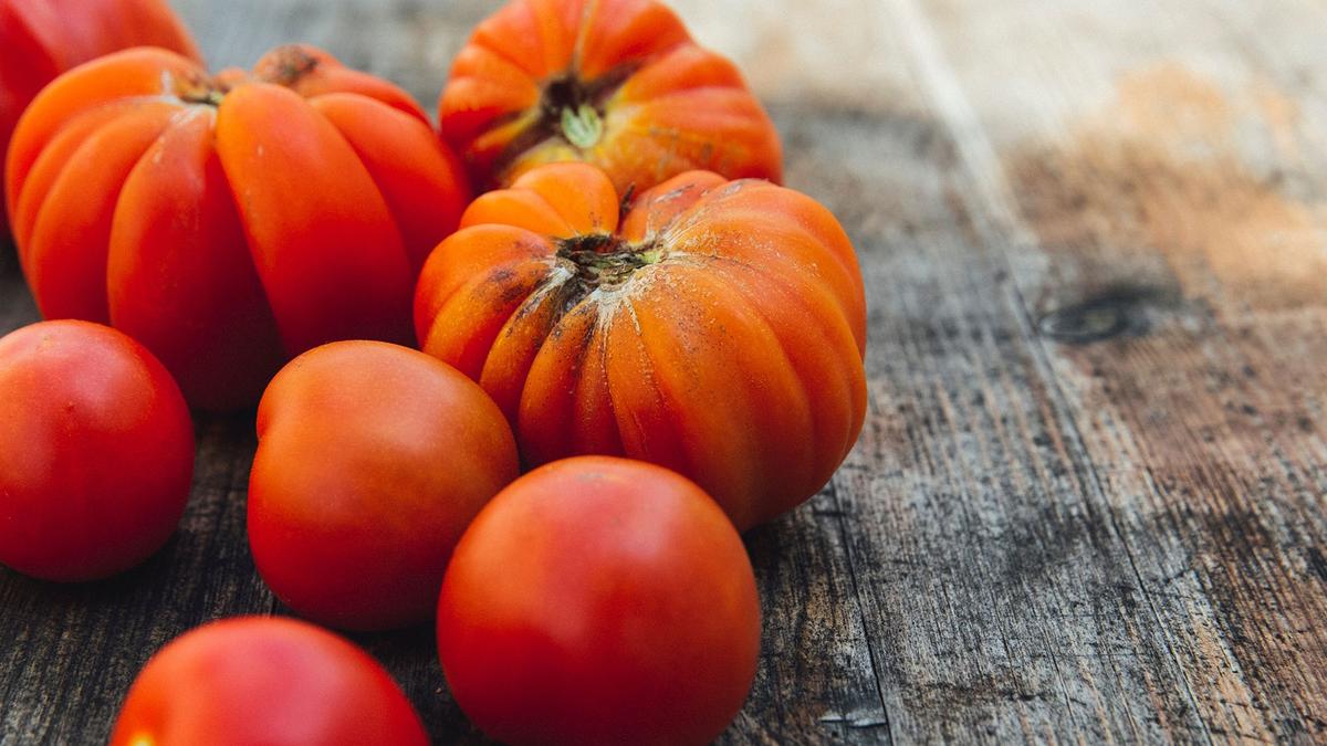 L'ABC de la permaculture