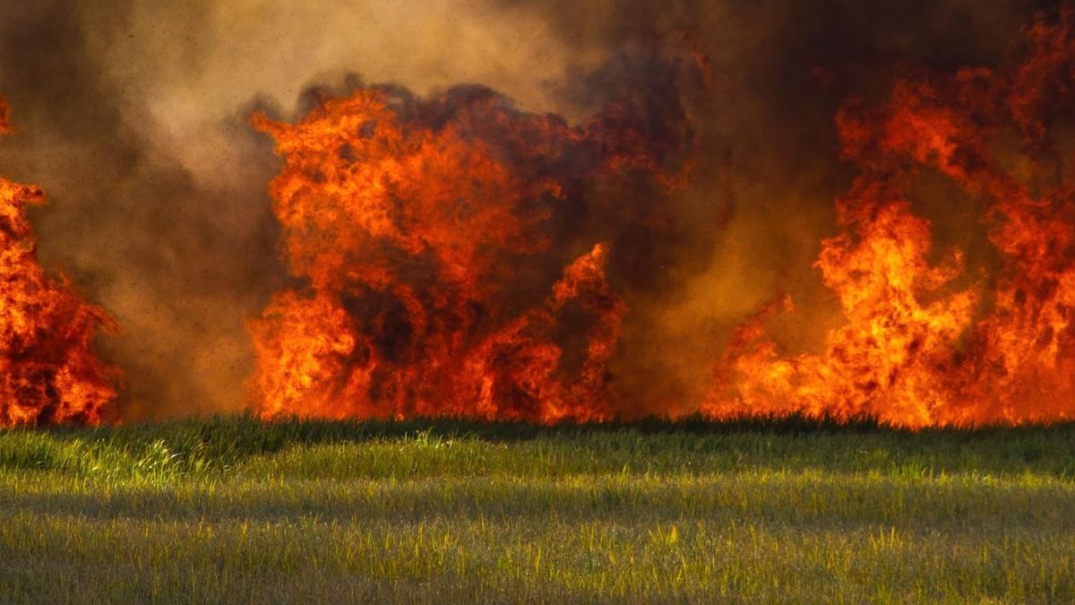 Comment protéger votre maison d'un feu de forêt?
