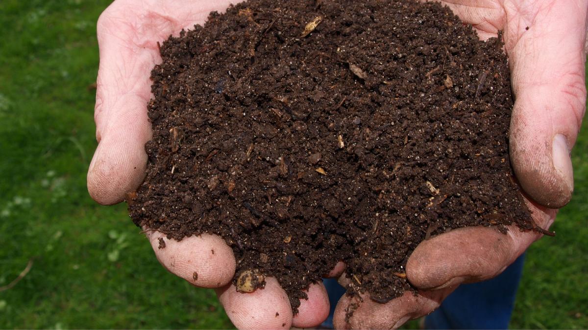 Les vers à compost pour faire son fumier de vers de terre