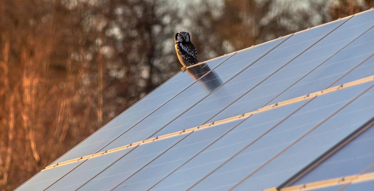 Recyclage des panneaux solaires photovoltaïques en fin de vie