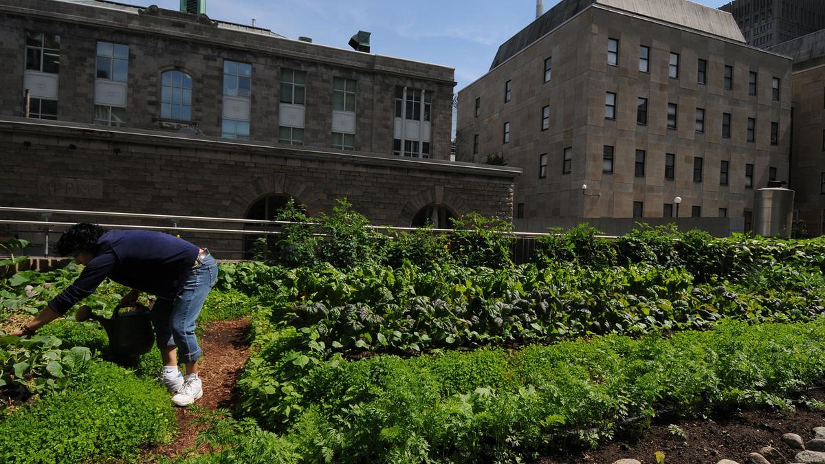 L’autonomie alimentaire : C'est possible au Quebec?