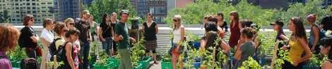 Collectif de recherche en aménagement paysager et agriculture urbaine