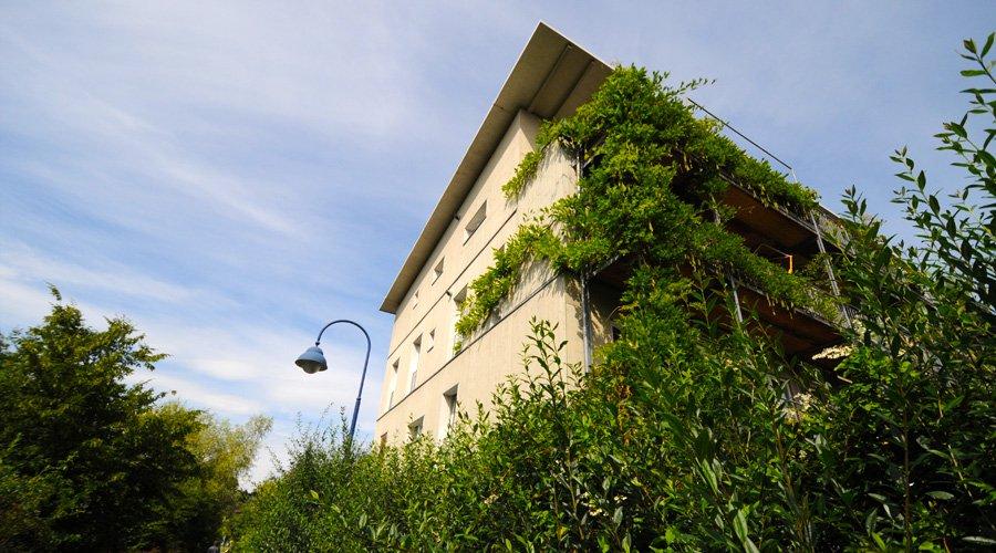 Mesures de végétalisation et de gestion des eaux pluviales