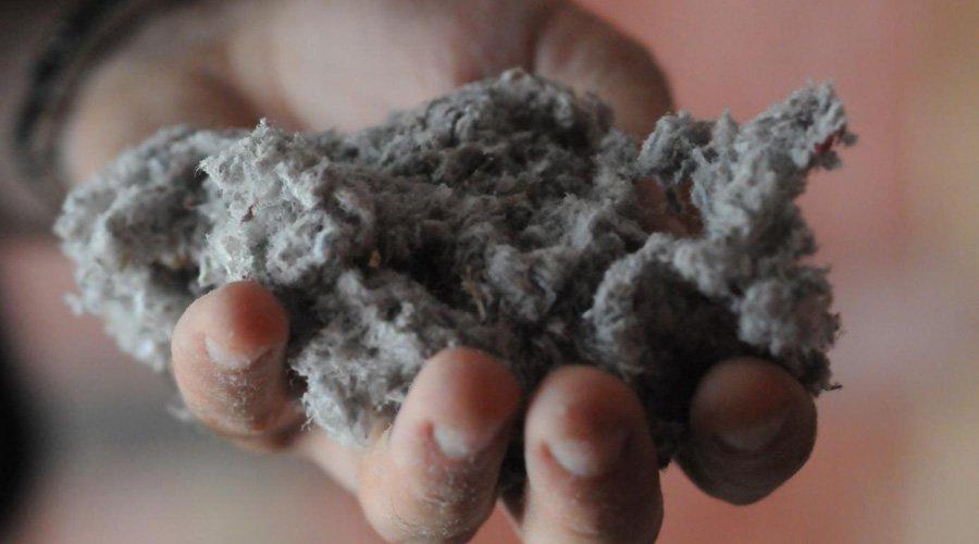 La cellulose pour isoler efficacement les murs