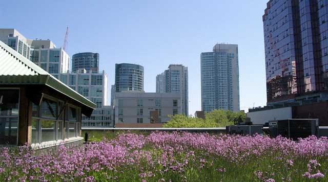 AQME et ÉCOHABITATION partenaires pour mieux servir les municipalités