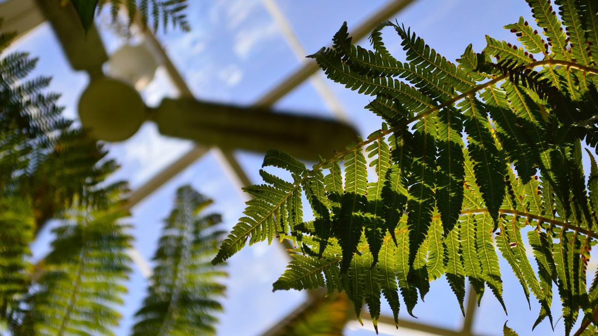 Tout sur la ventilation résidentielle