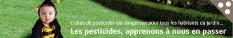 Un jardin sans pesticides grâce au site Jardiner Autrement