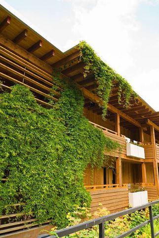Des îlots de verdure pour sauver la ville