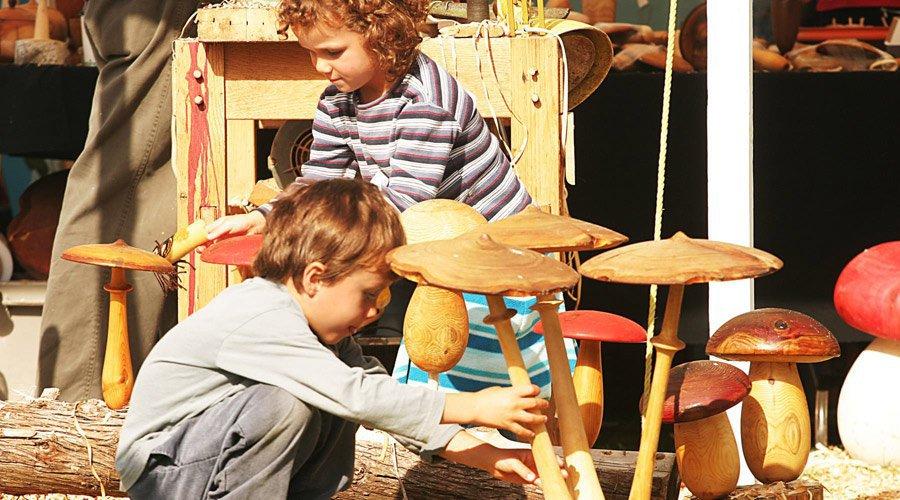 Photo Projet Écosphère