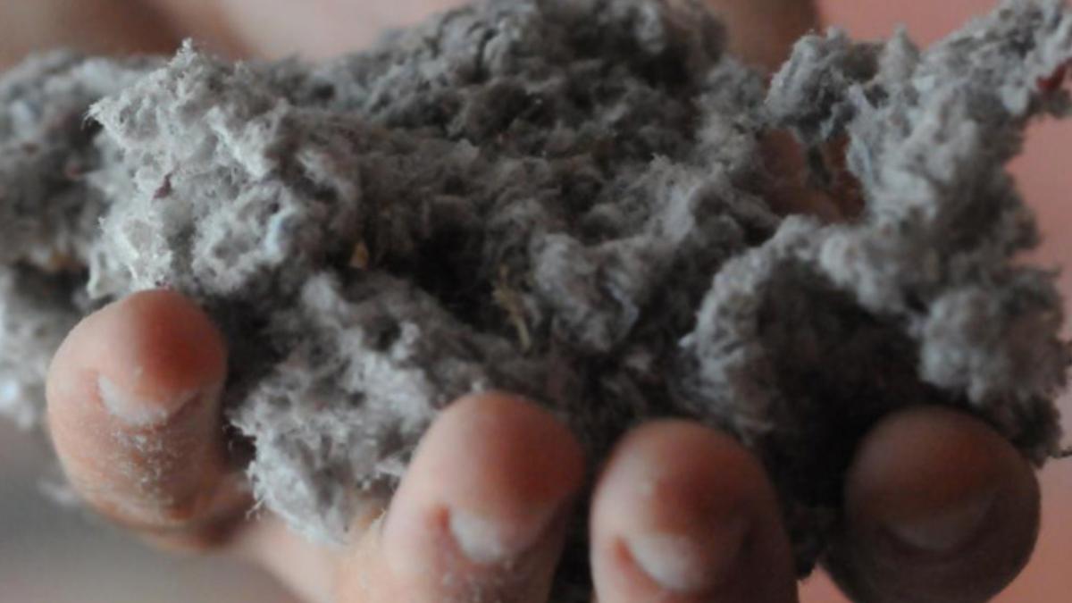 Cellulose