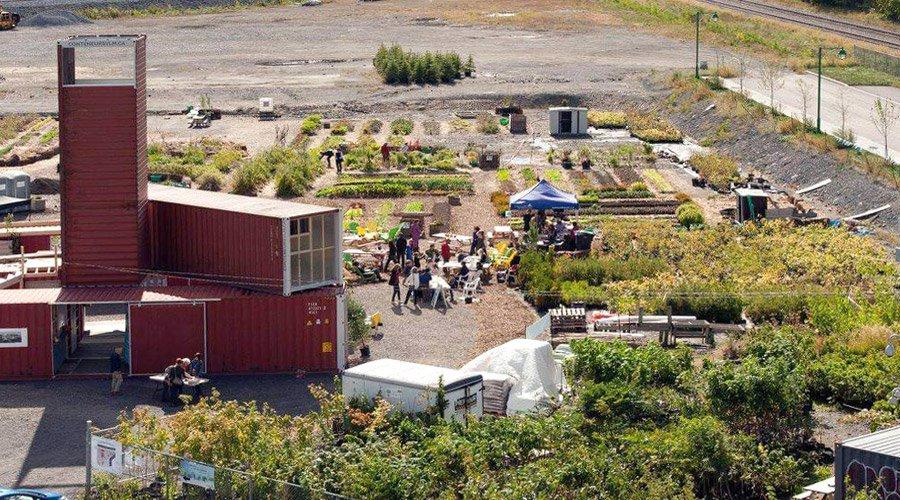 l’agriculture urbaine s'invite sur un chantier de construction de Montréal