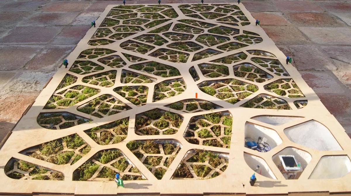 C'est quoi, le bio-photovoltaïque?