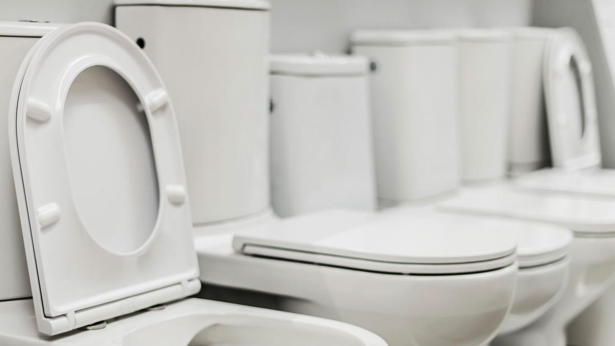 Quelle type de toilette choisir