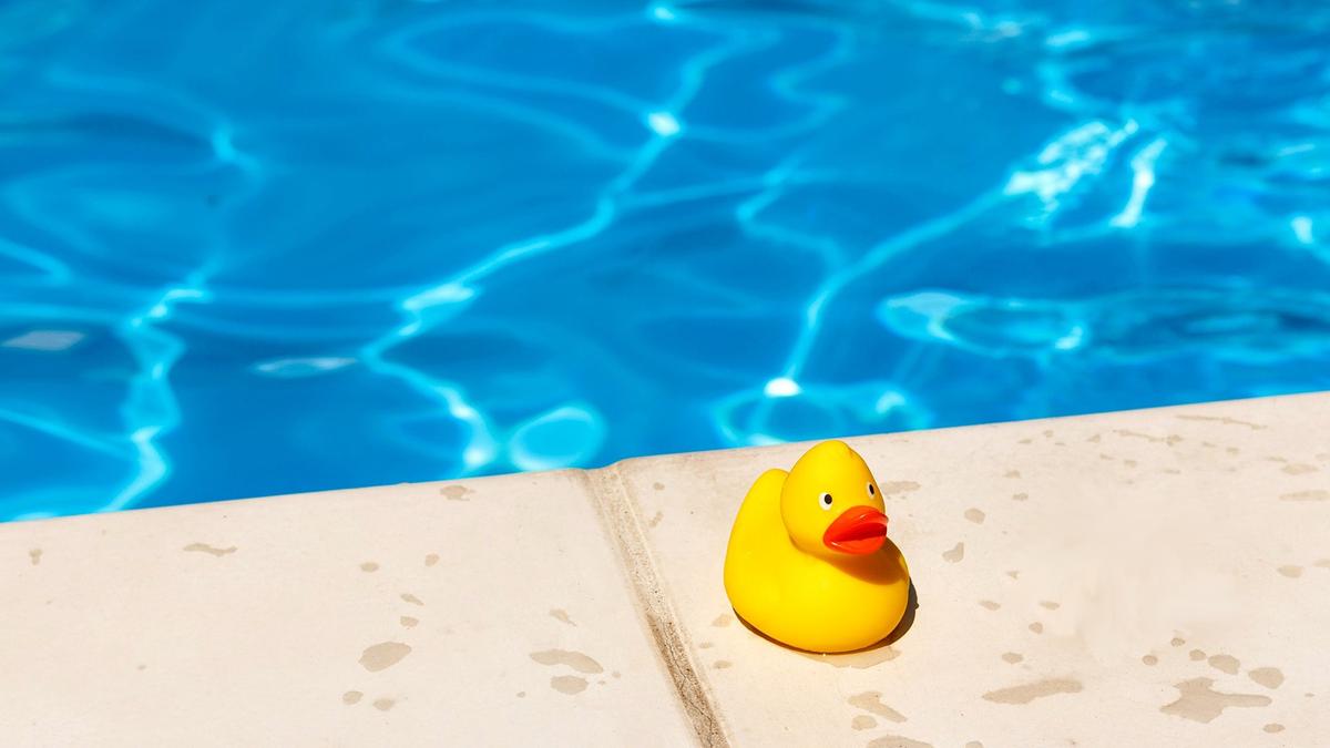 Réduire la Consommation d'Energie Piscine Ecologique :