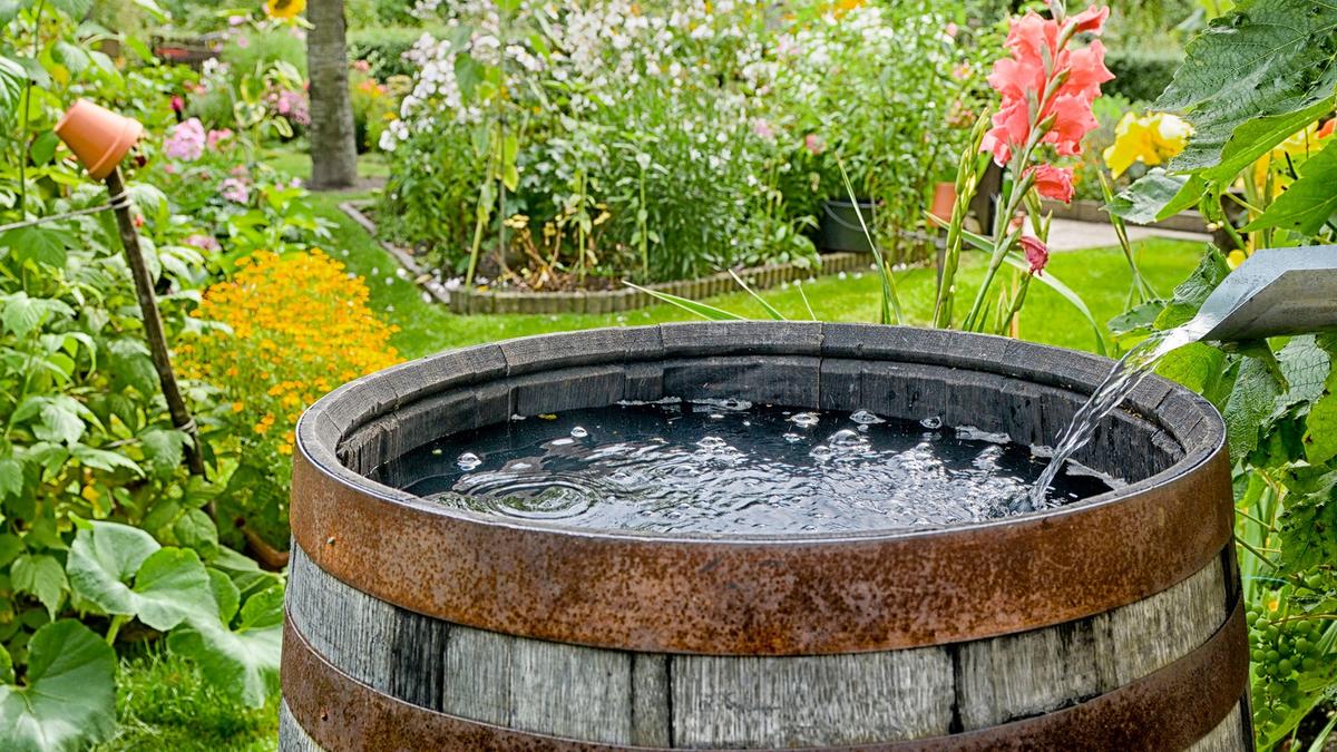 Récupération de l’eau de pluie