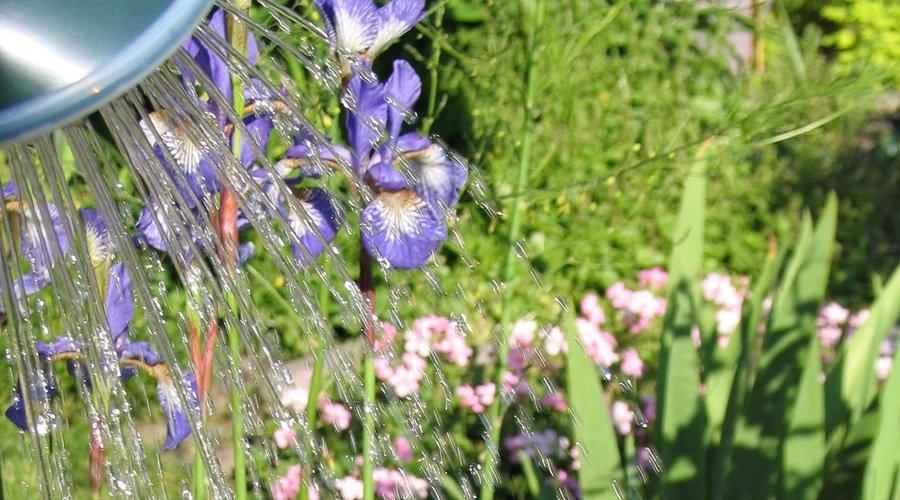 Pourquoi donc récupérer les eaux grises