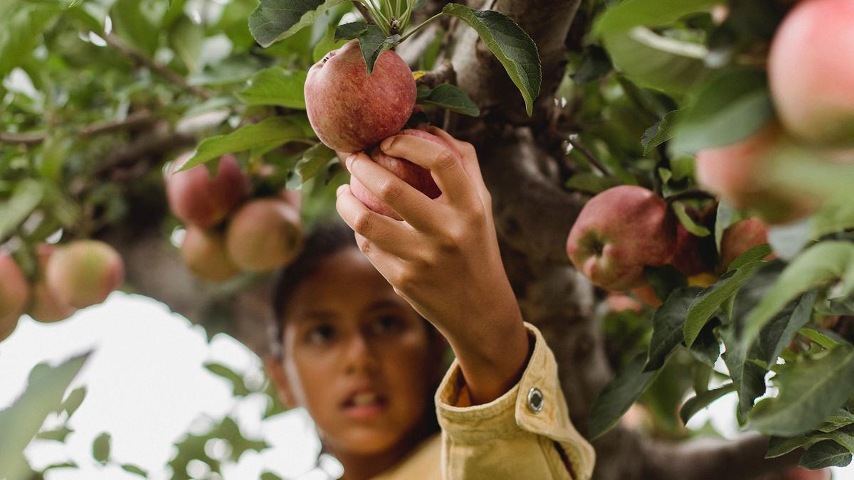 La formation pour la permaculture urbaine