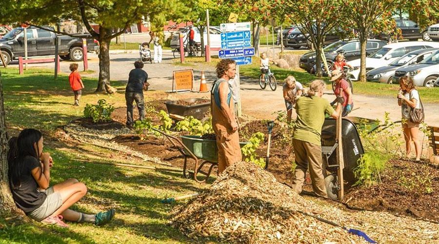 Val-David cultive son village: succès du projet d'agriculture urbaine