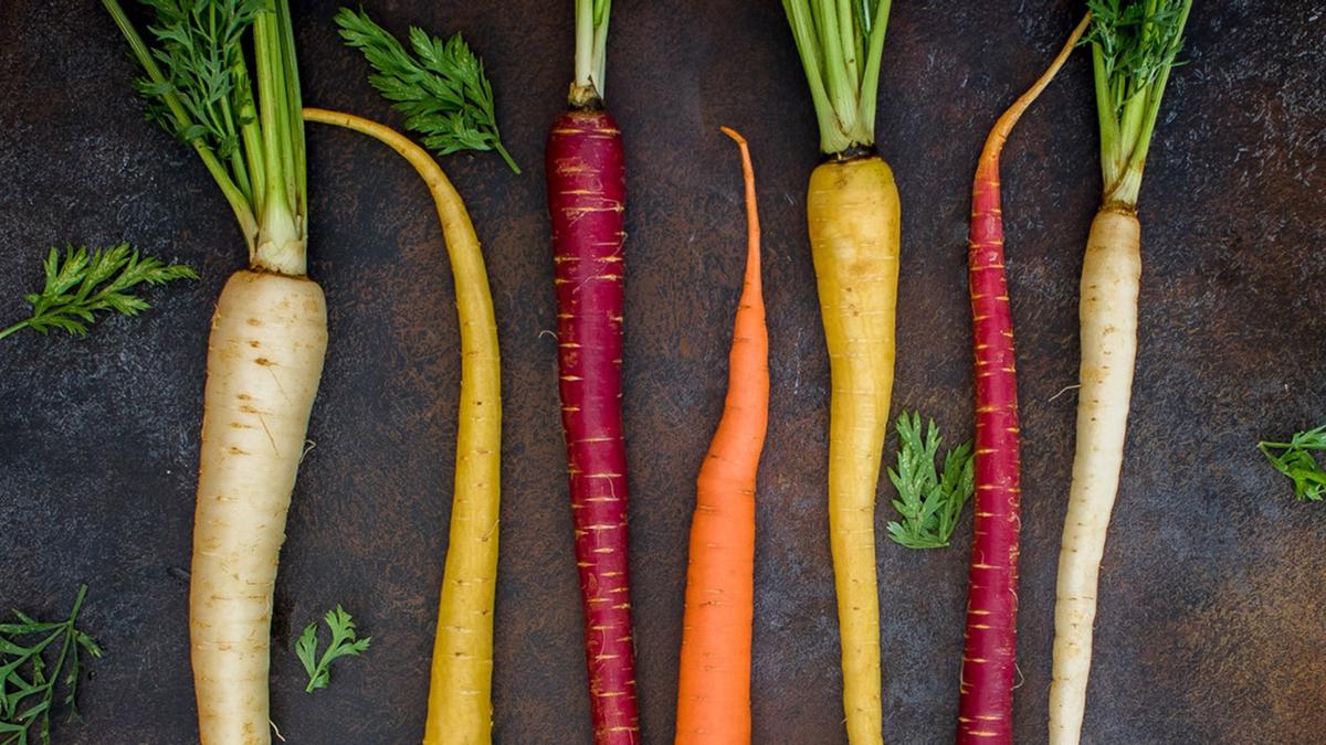 Les avantages et inconvénients du jardinage en lasagne pour la culture des alime