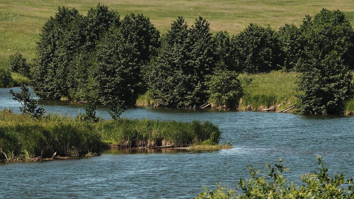 L'aménagement écologique des terrains au bord de l'eau