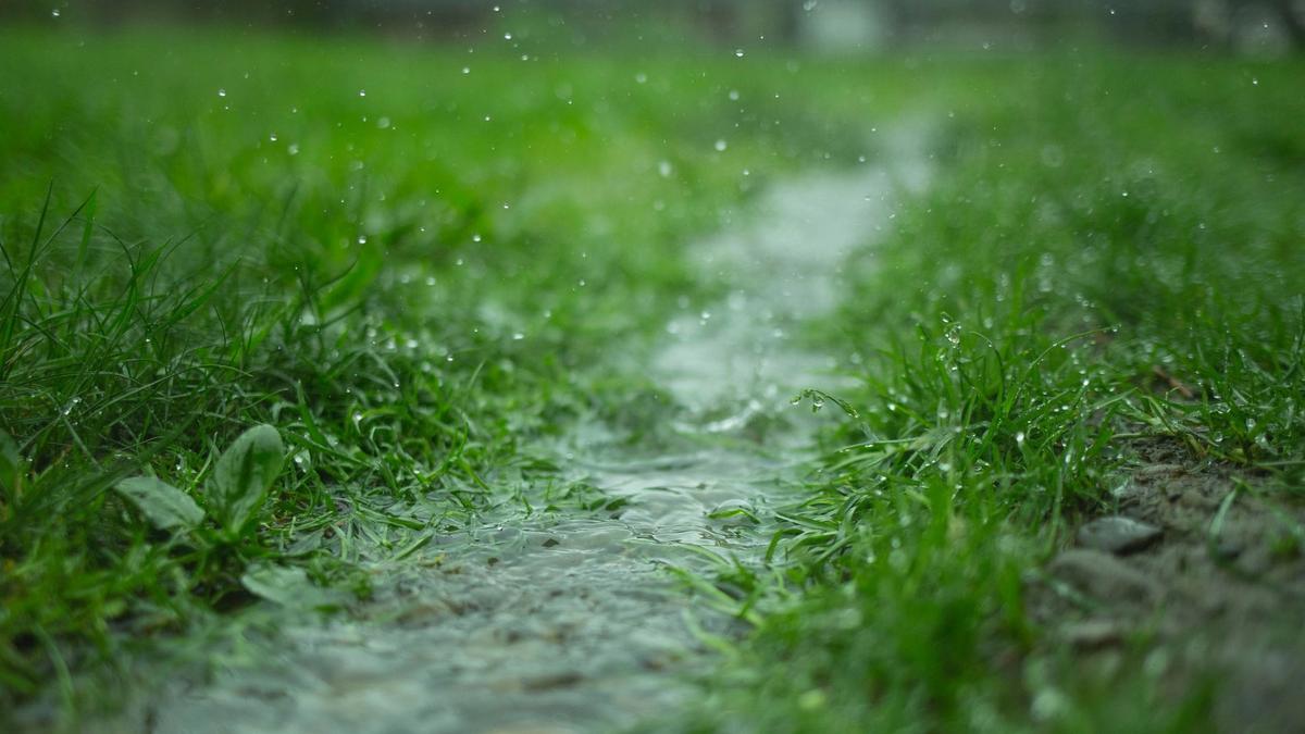 Le système de récupération d’eau de pluie : le traitement