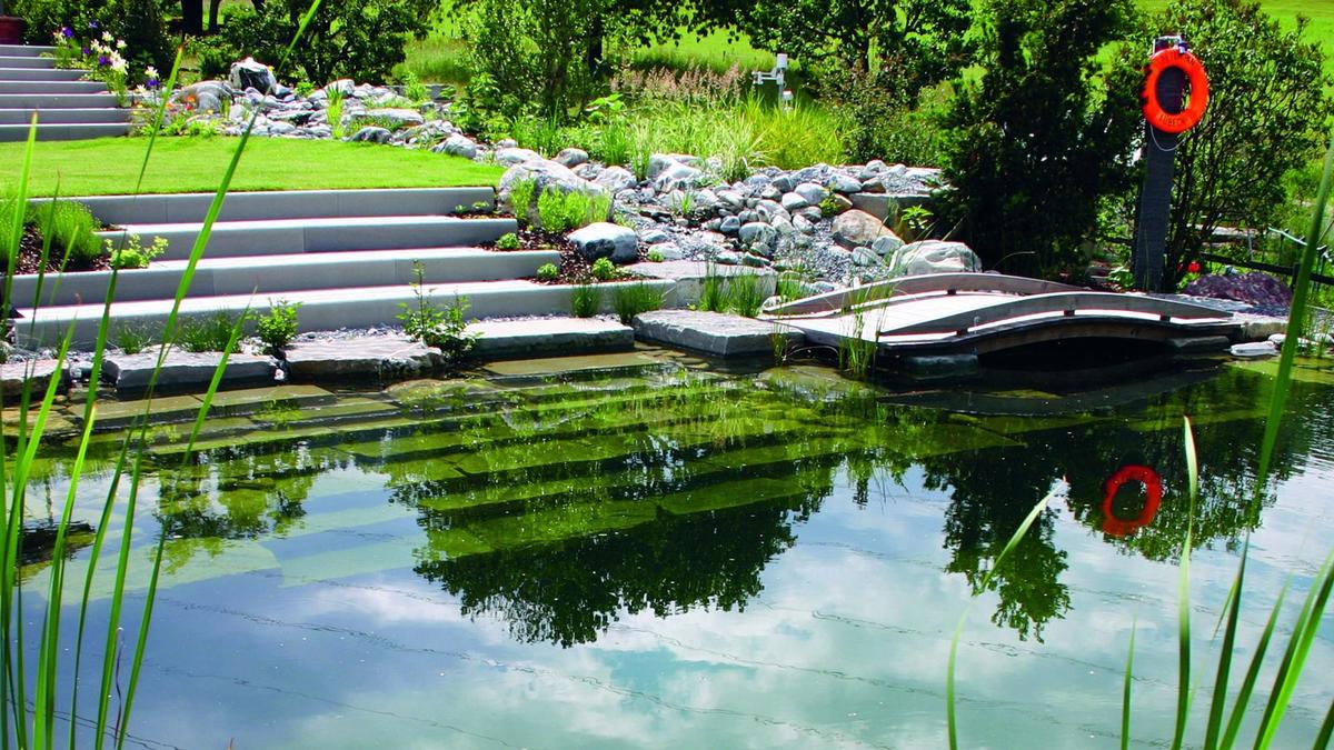 Tout sur la piscine écologique et les piscines naturelles