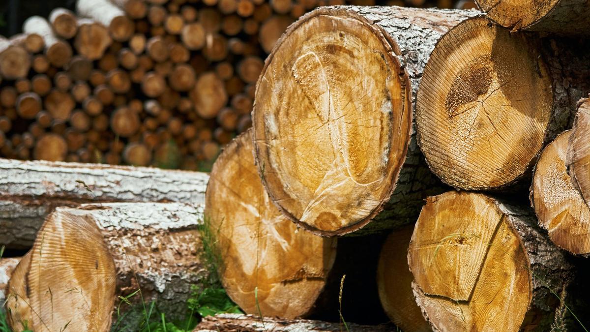 Le chauffage au bois peut être écologique