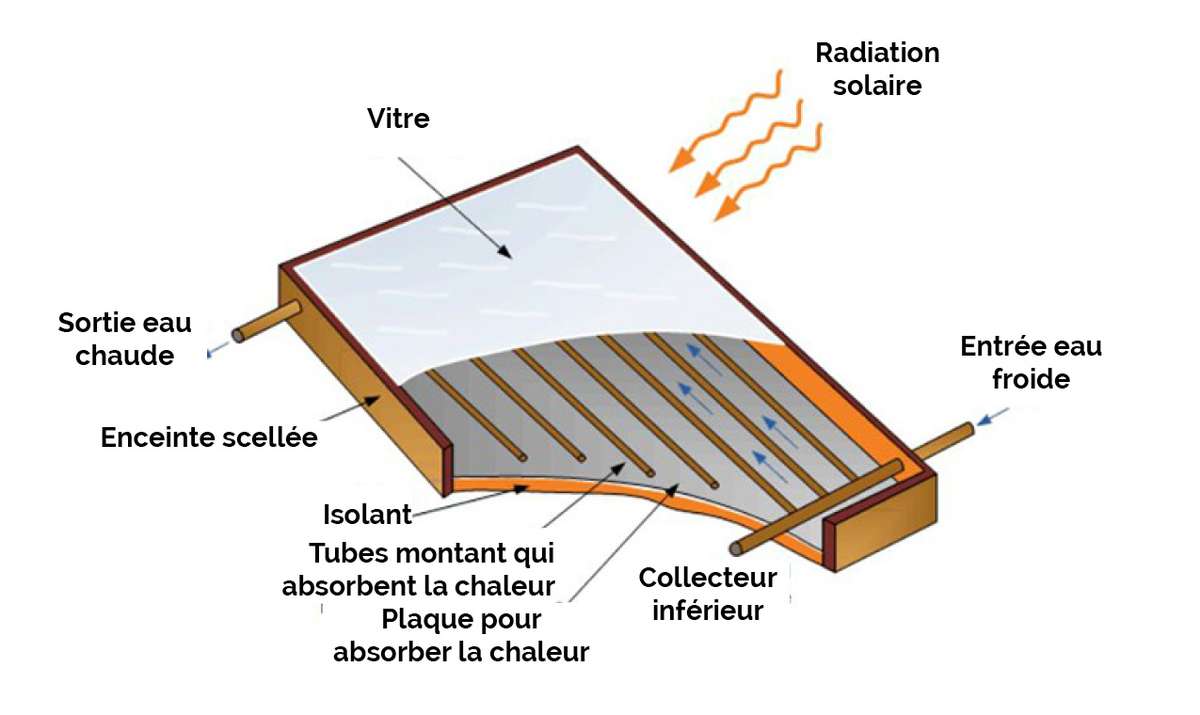 capteur solaire thermique plat schéma