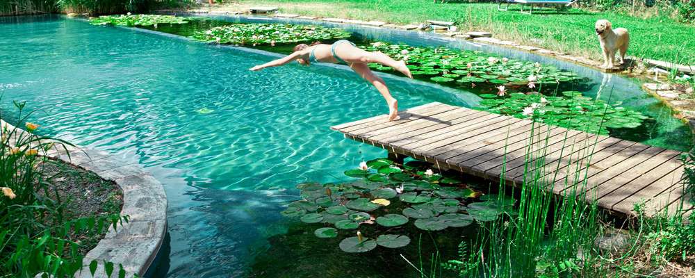 Des piscines naturelles, la baignade ecologique pour vos enfants