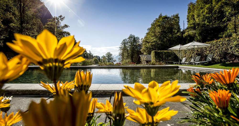 Des piscines naturelles, pour la baignade ecologique