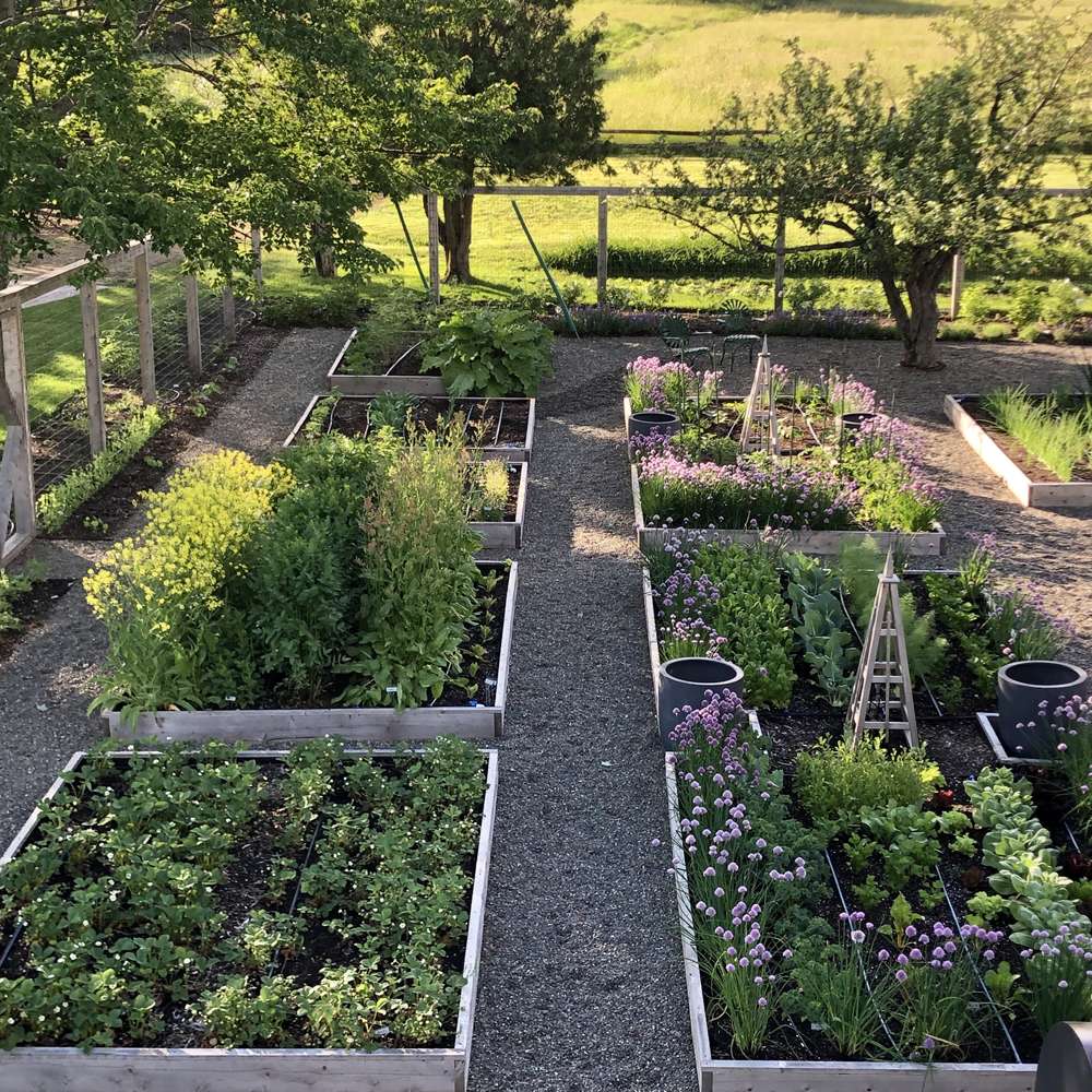 Le potager de la Ferme Humming Hill