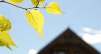 Formation habitation et planification durables pour les municipalités