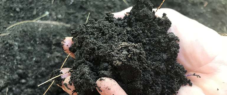 Utilisez un mélange de terreau et de compost pour un jardin en lasagne productif