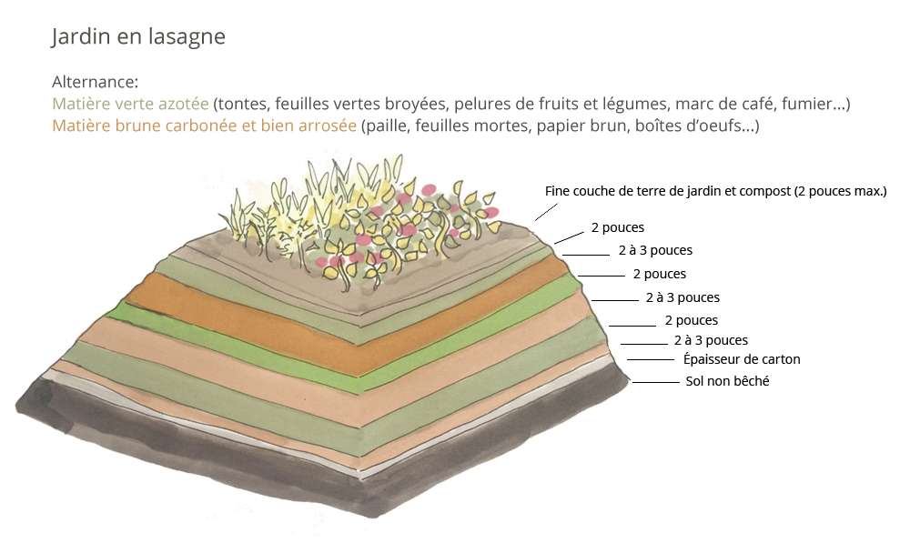 Alternance de couches du jardin en lasagne