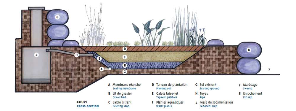 Fonctionnement du marais filtrant