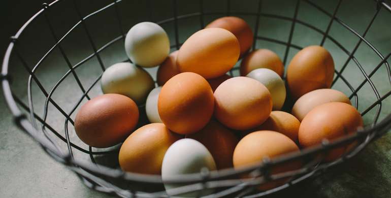 Une poule pond 1 œuf par jour pendant environ 3 ans
