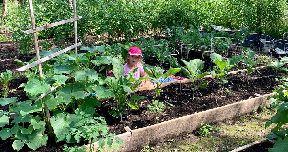 maison autoconstruction: le potager