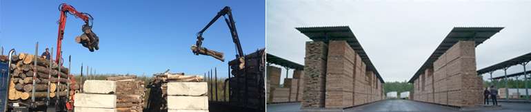 Transformation du bois