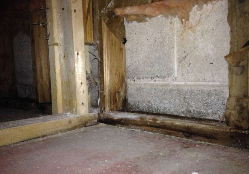 moisissure dans un sous-sol